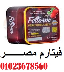 01023678560 سعر فيتارم للتخسيس في مصر Fettarm
